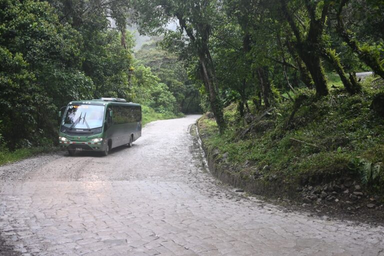 WanderLuxe Pros: Elevating Your Travel Experience with Expertise